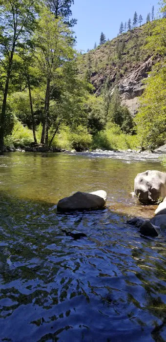 Gansner Bar Campground Picture 1