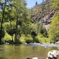 Gansner Bar Campground ico