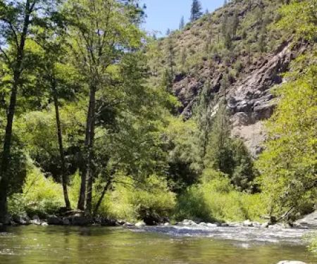 Gansner Bar Campground