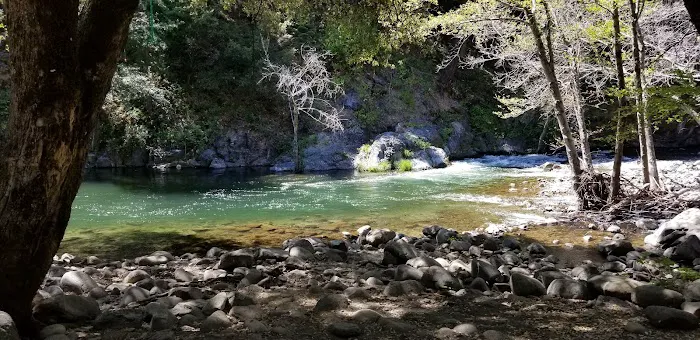 Gansner Bar Campground Picture 7