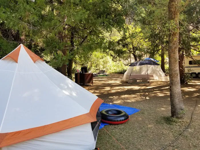 Gansner Bar Campground Picture 10