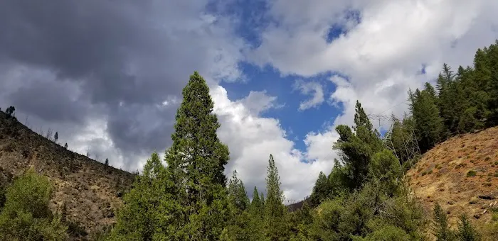 Gansner Bar Campground Picture 3