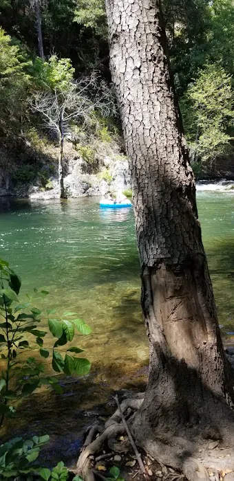 Gansner Bar Campground Picture 2