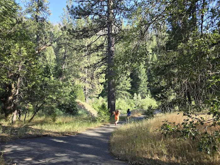 Hallsted Campground Picture 6