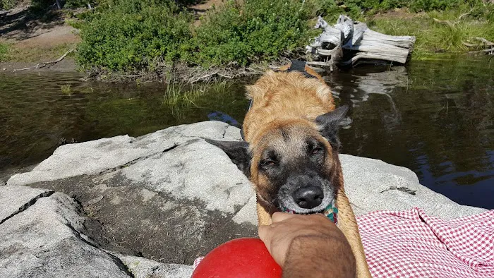 Three Lakes Campground Picture 7