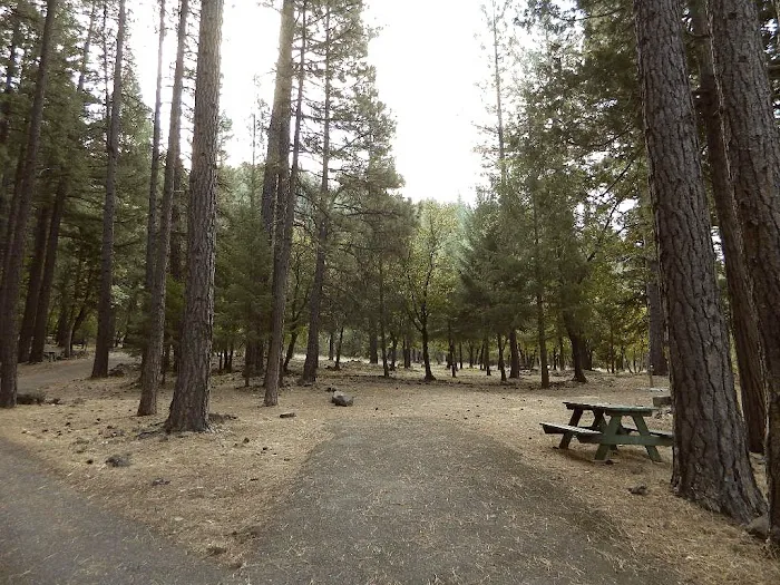 Taylorsville Campground Picture 7