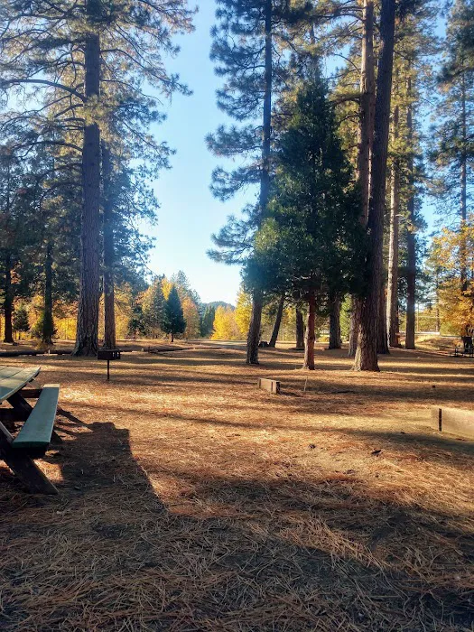 Taylorsville Campground Picture 3