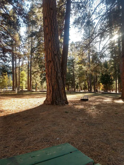 Taylorsville Campground Picture 1