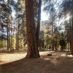 Taylorsville Campground