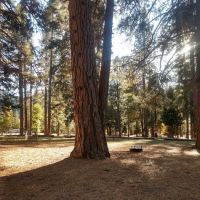 Taylorsville Campground ico