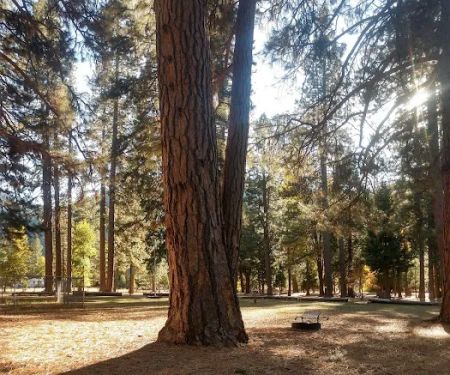 Taylorsville Campground