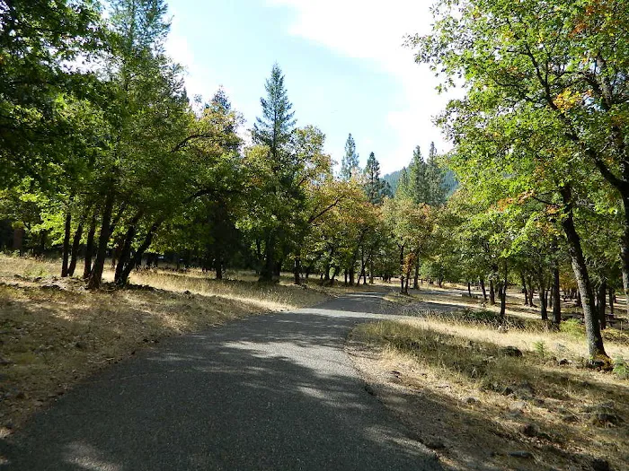 Taylorsville Campground Picture 6