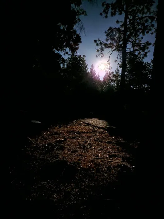 Taylorsville Campground Picture 4
