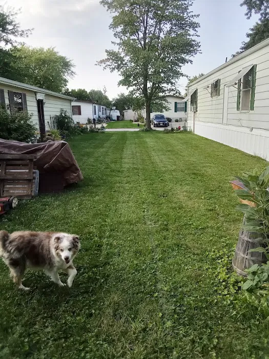 Timber Ridge Park LLC Picture 5