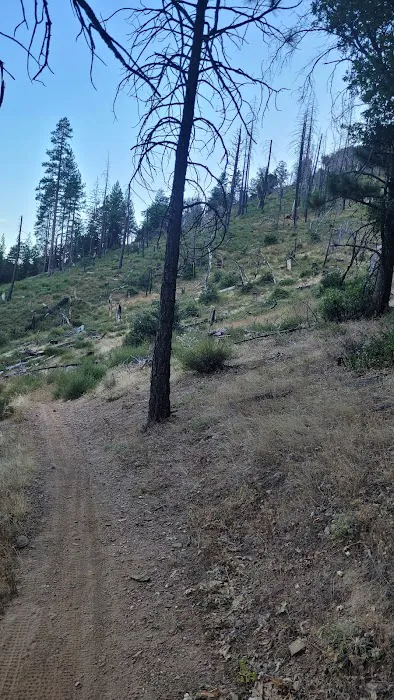 Camp Becausewecan Picture 2