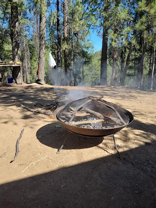 Camp Becausewecan Picture 6
