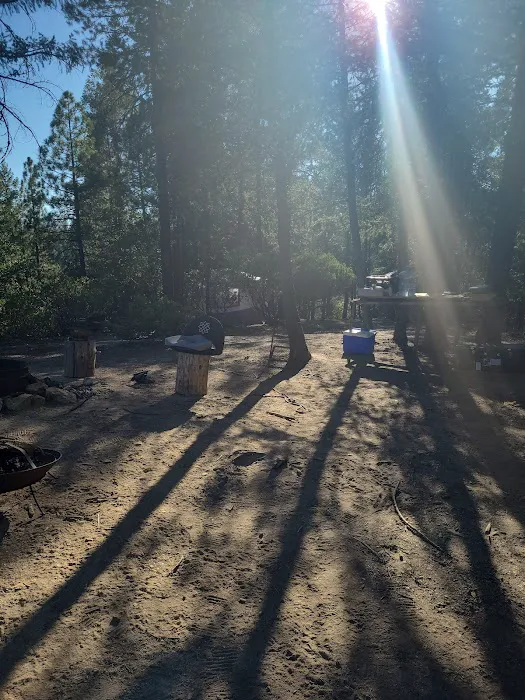 Camp Becausewecan Picture 3