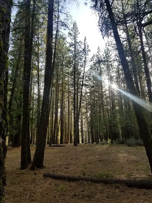 Boulder Creek Campground Picture 7