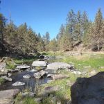 Old Sheep Bridge Crossing