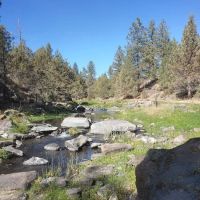 Old Sheep Bridge Crossing ico