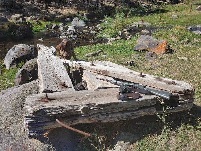 Old Sheep Bridge Crossing Picture 2