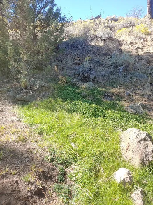 Old Sheep Bridge Crossing Picture 7