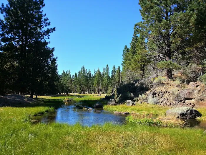 Old Sheep Bridge Crossing Picture 9