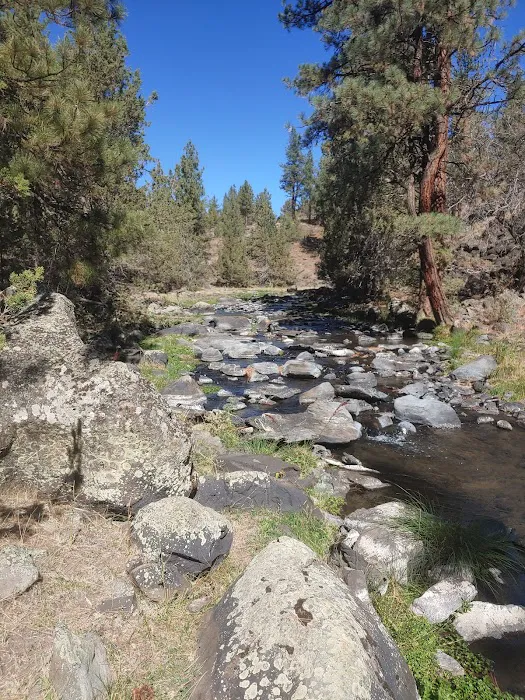 Old Sheep Bridge Crossing Picture 6