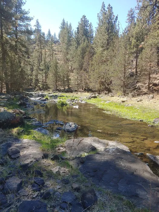 Old Sheep Bridge Crossing Picture 8