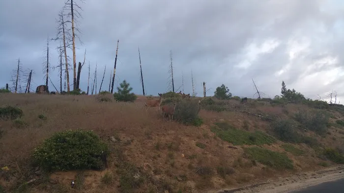 Long Point Campground Picture 1