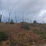 Long Point Campground