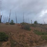 Long Point Campground ico