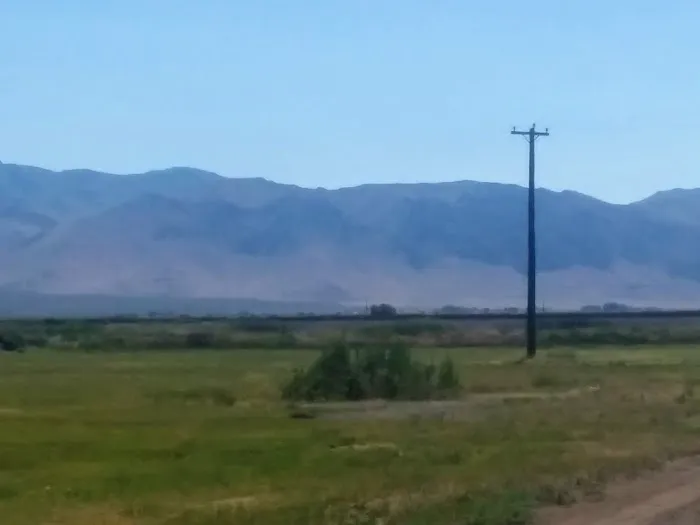 Honey Lake Wildlife Area Picture 4