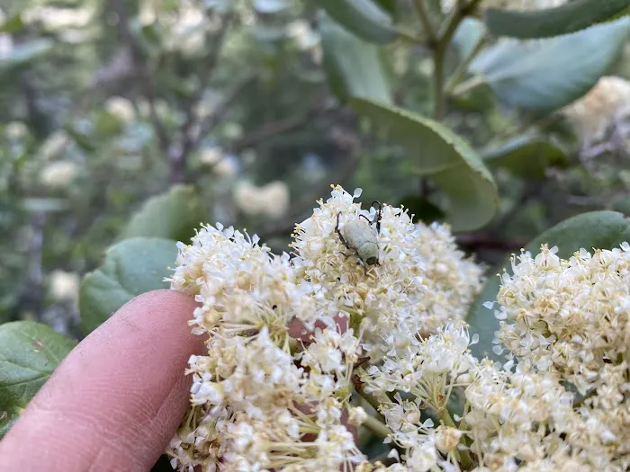 Mill Creek Campground Picture 3