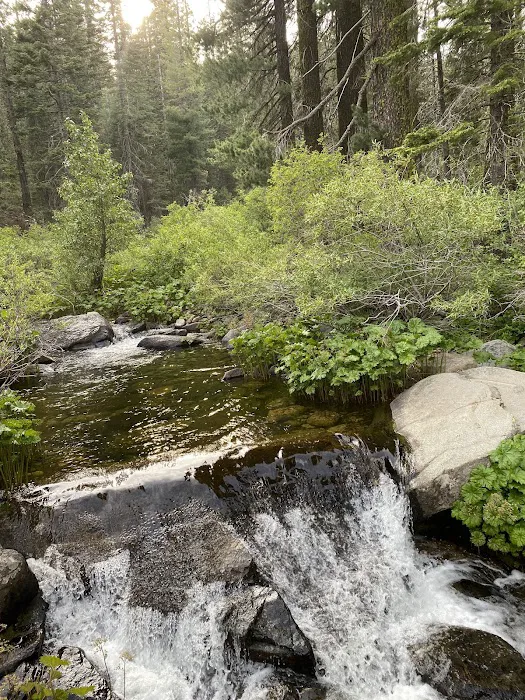 Mill Creek Campground Picture 9