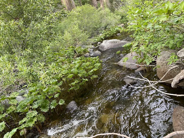 Mill Creek Campground Picture 5