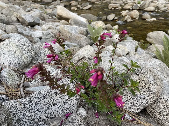 Mill Creek Campground Picture 4