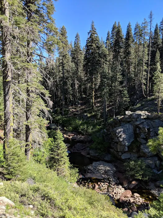 Hutchins Group Campground Picture 4