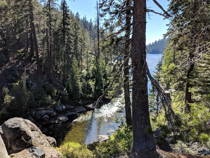 Hutchins Group Campground Picture 8