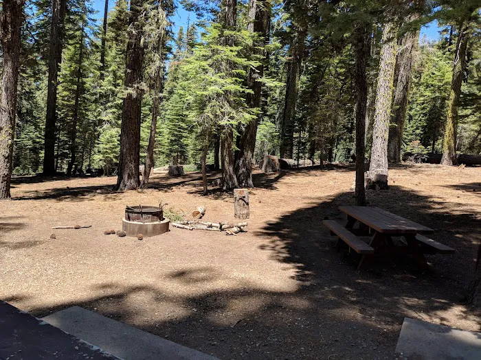 Hutchins Group Campground Picture 6