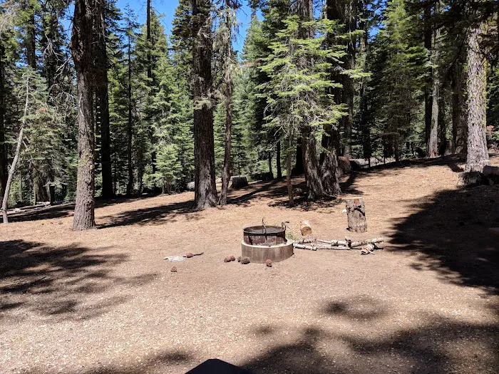 Hutchins Group Campground Picture 5