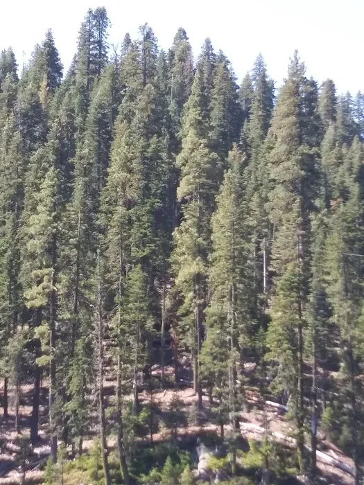 Lower Bucks Campground Picture 6