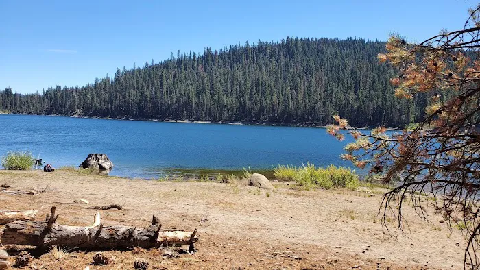 Lower Bucks Campground Picture 8
