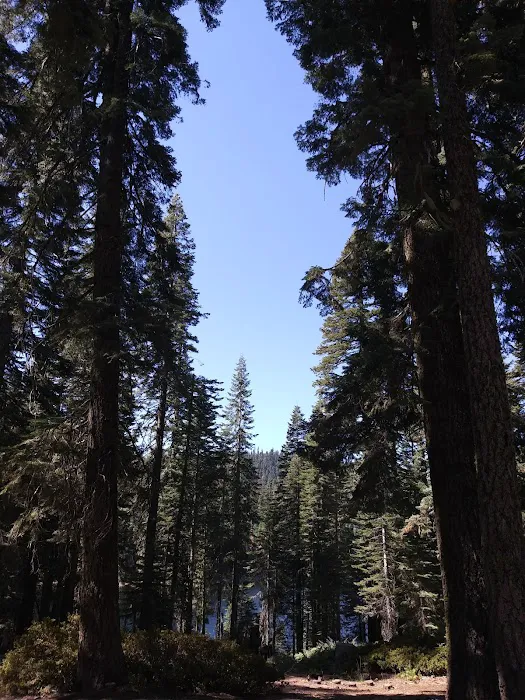 Lower Bucks Campground Picture 5
