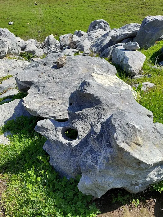 Lime Saddle Campground Picture 7