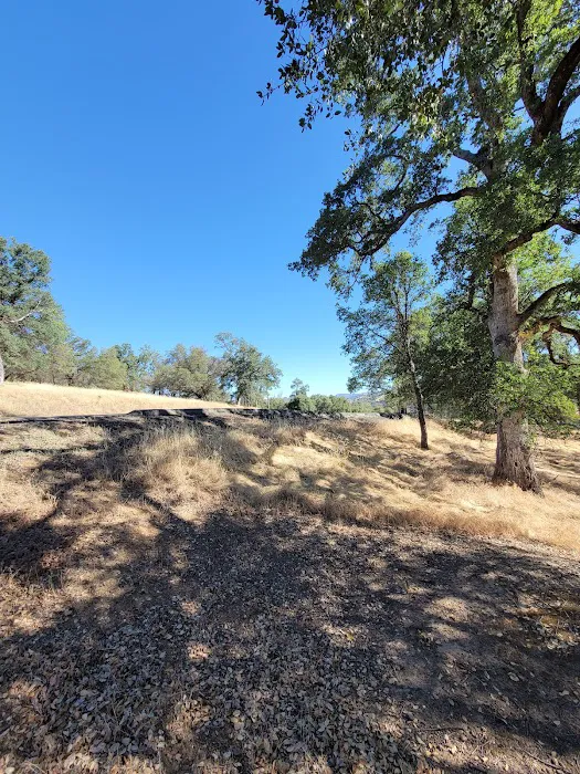 Lime Saddle Campground Picture 8
