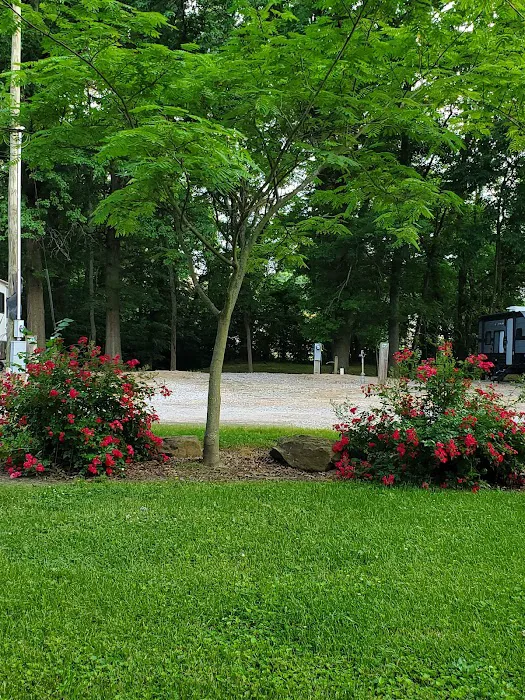 Mt. CarMerriel RV Park Picture 7