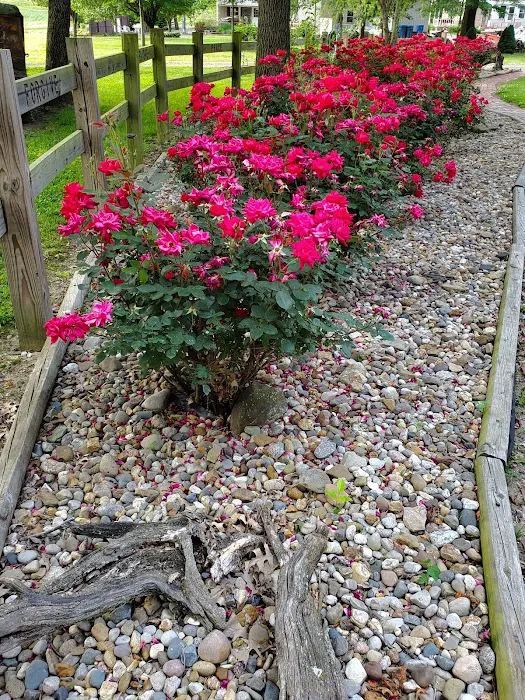 Mt. CarMerriel RV Park Picture 10
