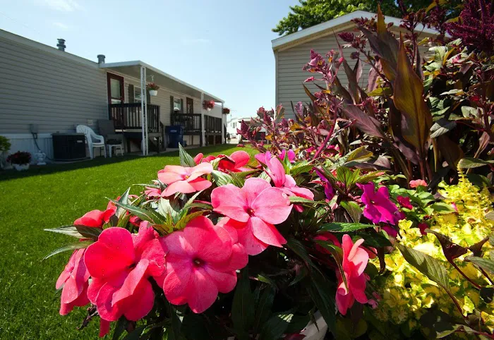 Chief Mobile Home Park Picture 1
