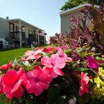 Chief Mobile Home Park